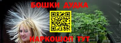 Альфа ПВП Сланцы