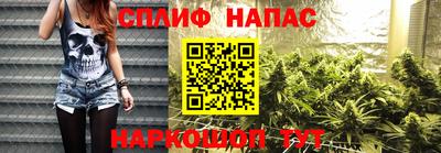 Альфа ПВП Сланцы