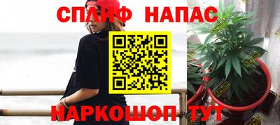 Альфа ПВП Сланцы