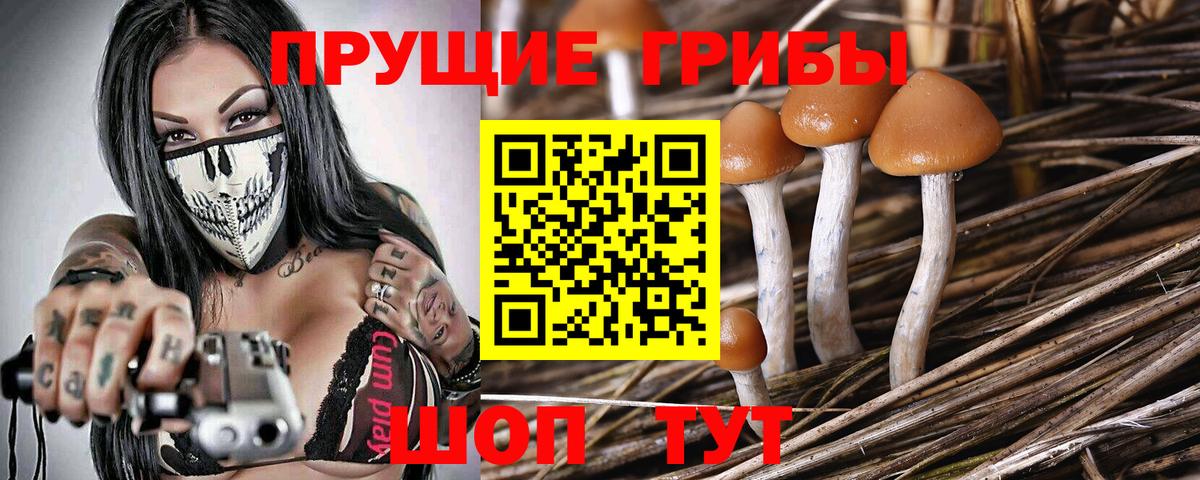 Галлюциногенные грибы мухоморы  Вход с VPN  цена   Нягань  Галлюциногенные грибы Psilocybe 